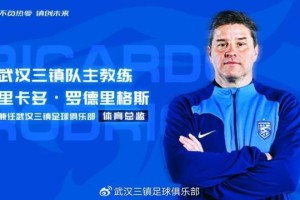 武汉三镇官宣：罗马里奥、艾菲尔丁刘若钒等9人加盟